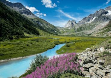 water-stream-surrounded-by-mountains-flowers-sunny-day_181624-29802