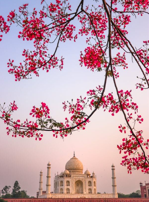 tajmahal