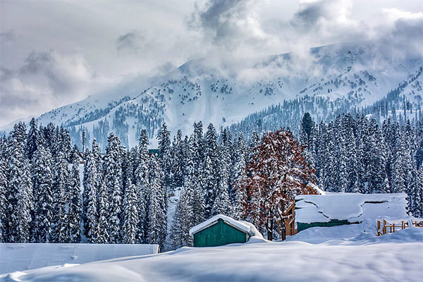 Kashmir
